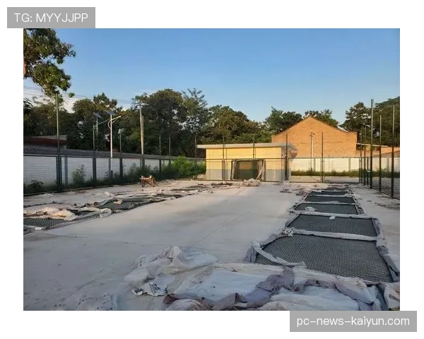 足球场馆安全通行路径的残障友好设计实例,足球比赛场馆